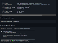 Amazon EC2 Spot Interrupter Screenshot 1