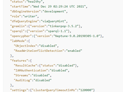 Amazon Neptune SigV4 Signer Screenshot 1