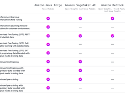 Amazon Nova Forge Screenshot 1
