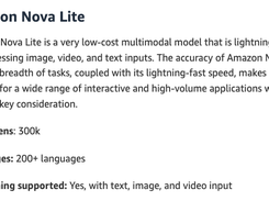 Amazon Nova Lite Screenshot 1