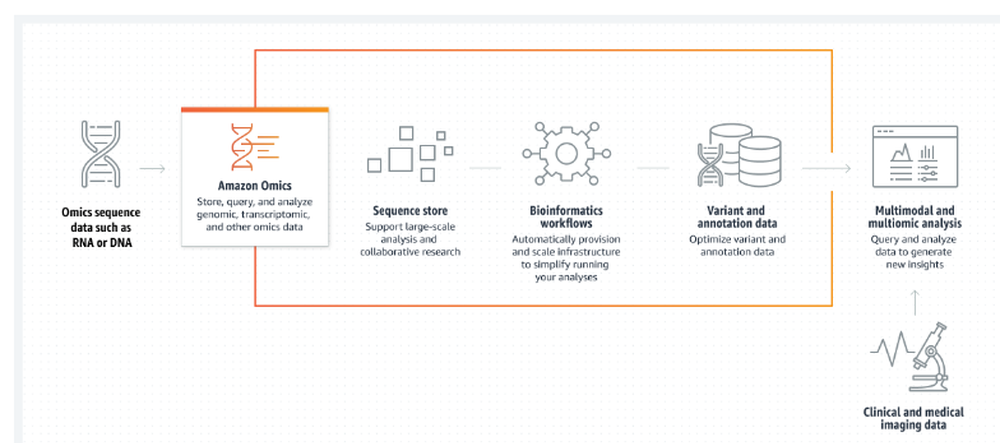 Amazon Omics Reviews and Pricing 2024