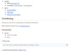 Amazon Q Developer CLI Screenshot 1