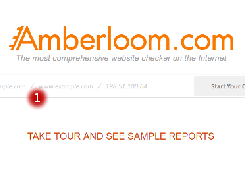 Amberloom Website Checker Screenshot 1