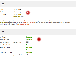 Amberloom Website Checker Screenshot 2
