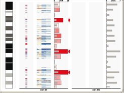 Chromosome ideogram graphical representation