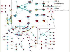 Interaction network graphical representation