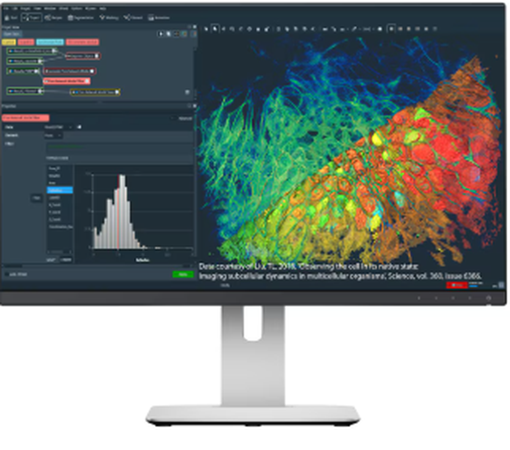 Amira Software Screenshot 1