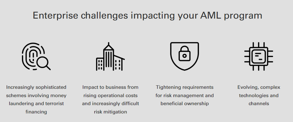 AML Risk Manager Screenshot 1