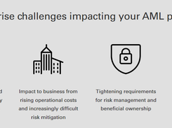 AML Risk Manager Screenshot 1