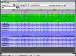 4 correlated SNPs in 2 reads with supporting chromatograms