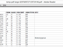 PDF Export