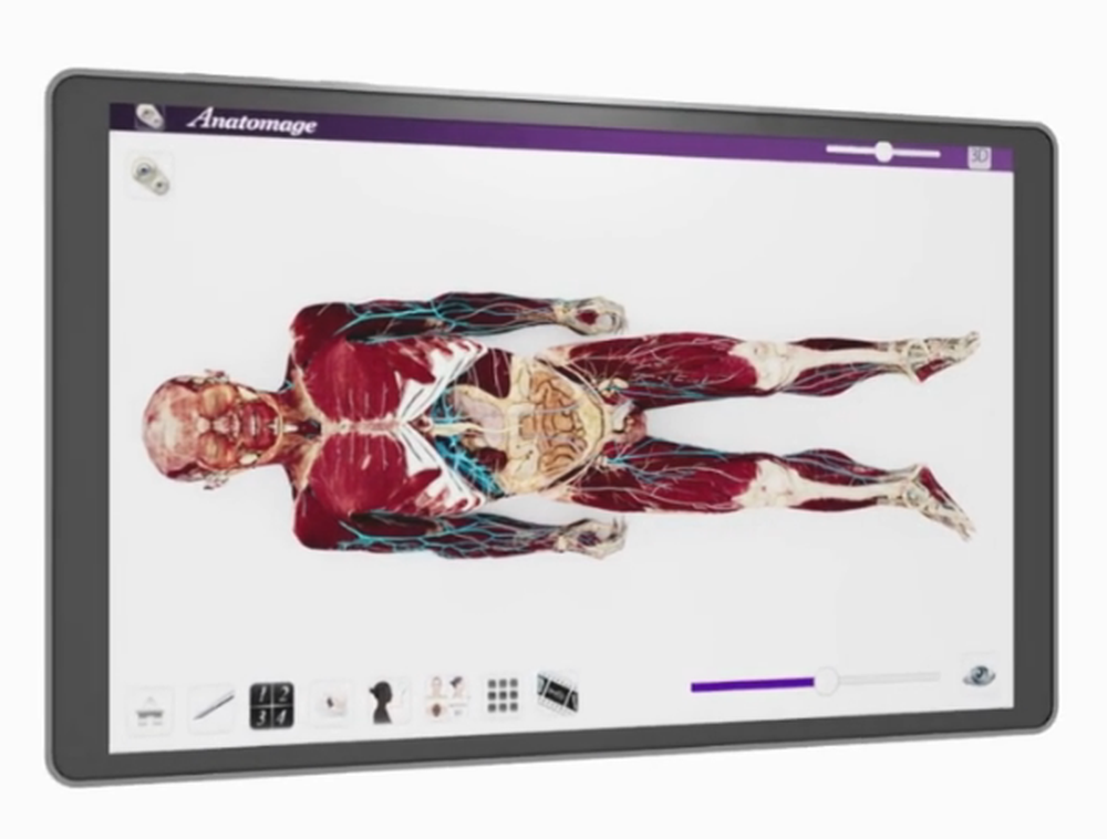 Anatomage VR Screenshot 1