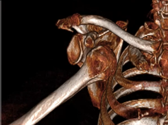 Anatomage VR Screenshot 1