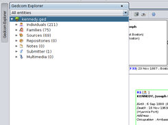 GEDCOM explorer