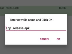 Renaming file