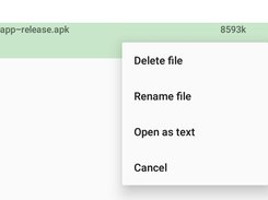 Context menu (long click on file or directory)
