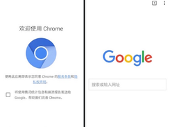 AndroidChromium Screenshot 1
