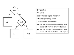 Flow Chart