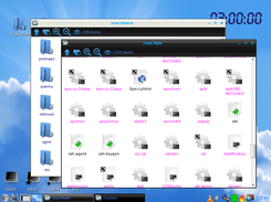 Angel Linux Screenshot 1