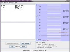 Anki Stream review interface