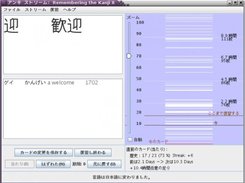 Anki Stream review interface (Japanese)