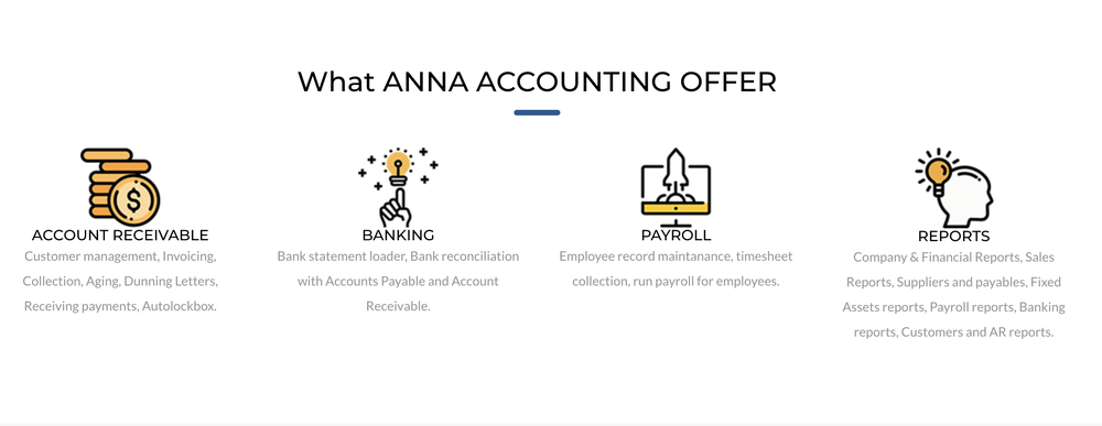 Anna Accounting Screenshot 1
