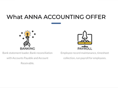 Anna Accounting Screenshot 1