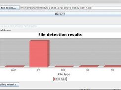 Successful Detection