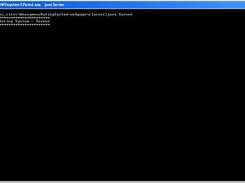 Server