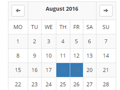 Mini calendar widget