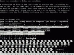 ansi2html torturet.vt > torturet.html (it does blink)