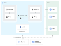 Anthos Service Mesh Screenshot 1