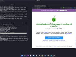 Tor Network