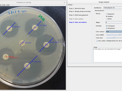 Annotating antibiogram-images