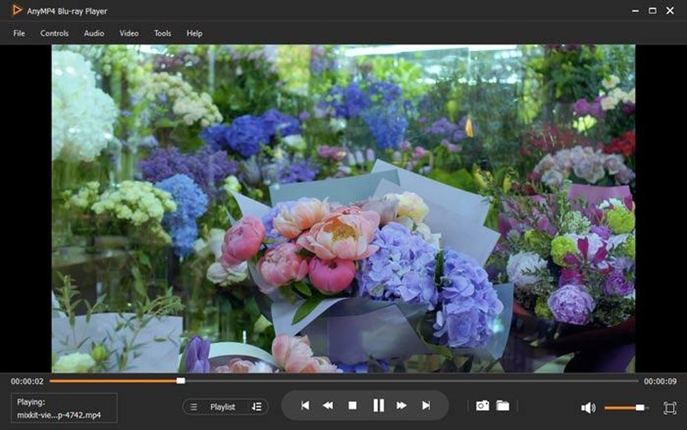 AnyMP4 Blu-ray Player Screenshot 1