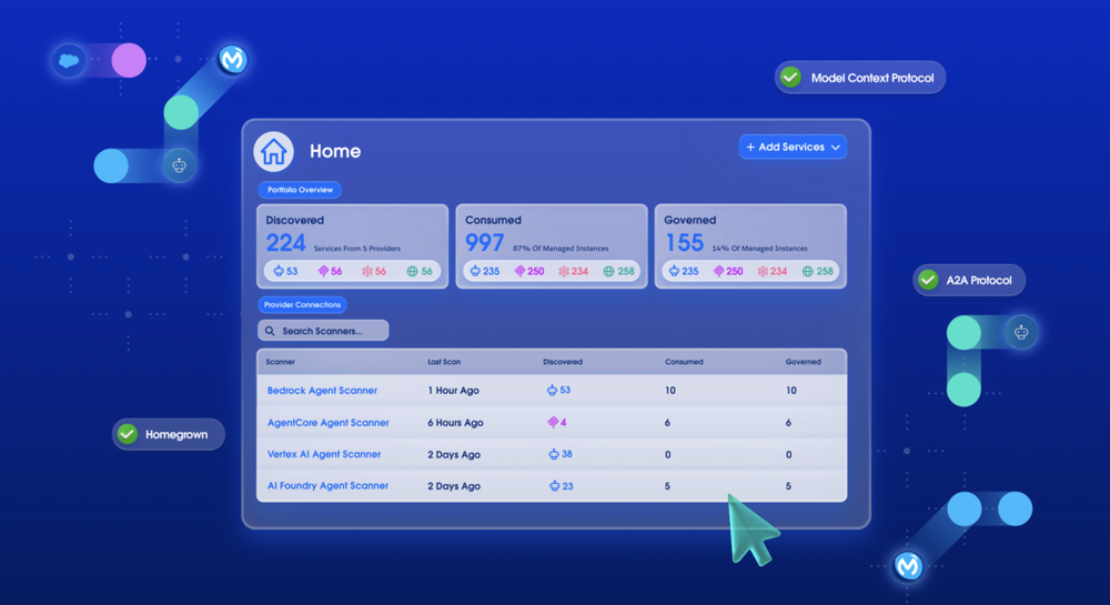MuleSoft Anypoint Platform Screenshot 1