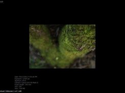 Amateur Photographer's Image Gallery Screenshot 1
