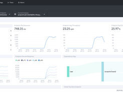 Apache SkyWalking dashboard 2