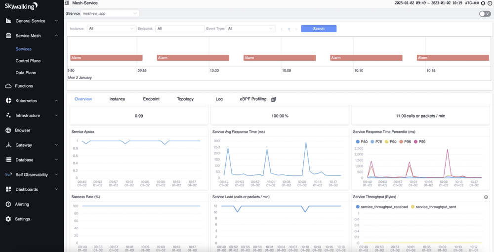 Apache SkyWalking Screenshot 1