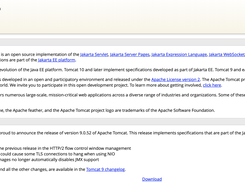 Apache Tomcat Screenshot 1