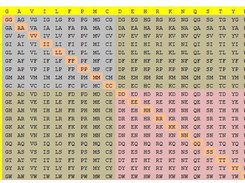 Heteropairs and Homopairs