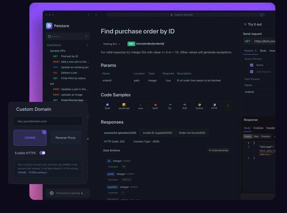 Apidog Screenshot 1