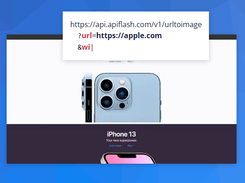 ApiFlash Screenshot 1