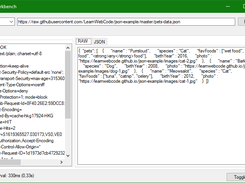 API Workbench Screenshot 2