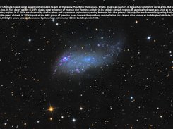 IC 2574