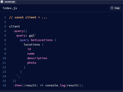 Apollo Client Screenshot 1