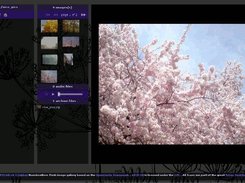 Version 0.3 image gallery