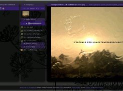 Version 0.4 album view