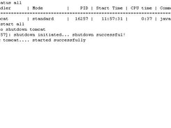 Restarting application using ctl.