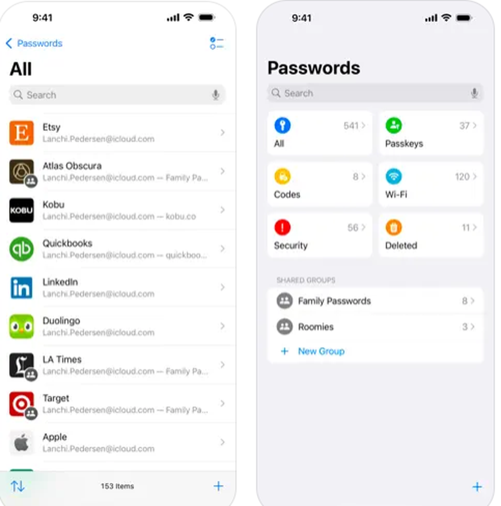 Apple Passwords Screenshot 1